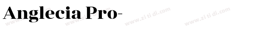Anglecia Pro字体转换